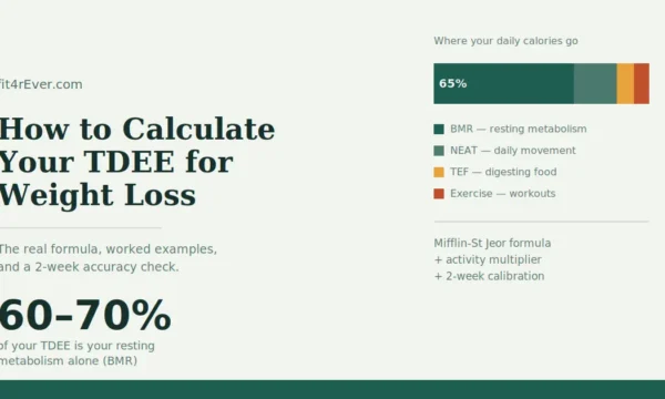 how to calculate my TDEE for weight loss