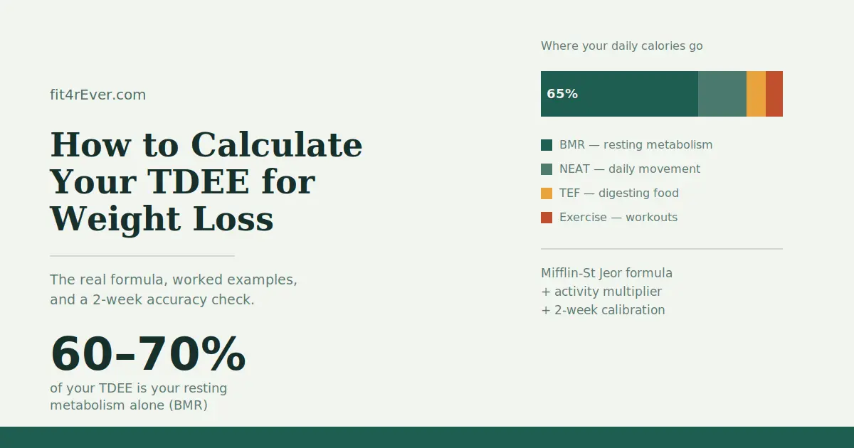 How to Calculate My TDEE for Weight Loss: 5 Steps to Your Real Number
