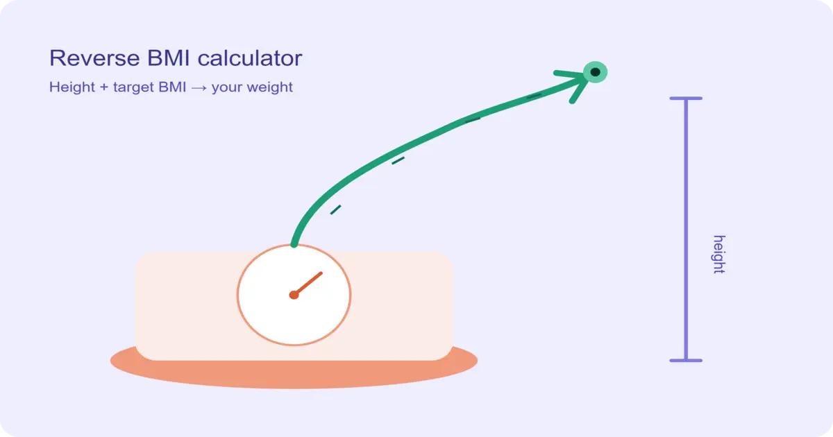 Reverse BMI Calculator to Find Weight [Free Tool]